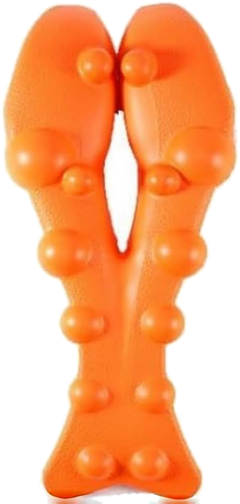 Top view of the 14 raised pressure points